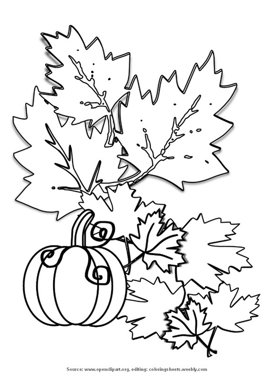 Leaves with pumpkin - Coloring Sheets